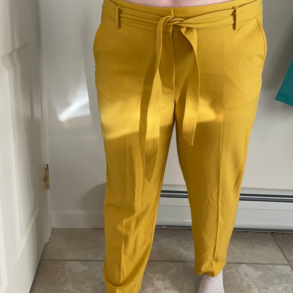 LOFT Tie Belt Dress Pants in Yellow